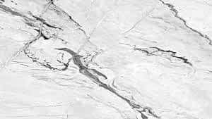 Lamar - Modern Statuario