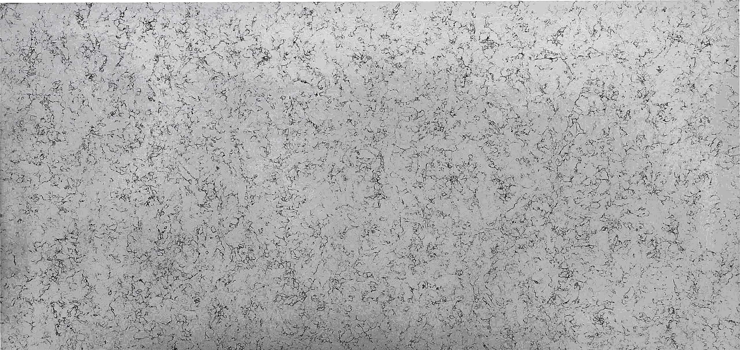 Belenco - 8123 Carrara Luca